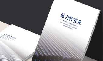 河北派力特管道